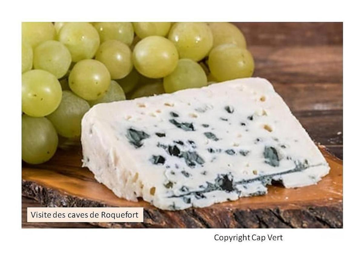 Hotel Cap Vert En Aveyron サンタフリク エクステリア 写真