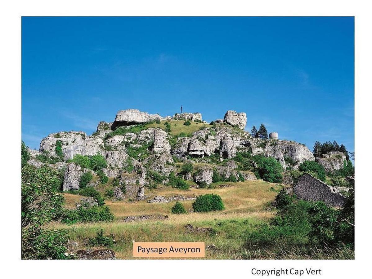 Hotel Cap Vert En Aveyron サンタフリク エクステリア 写真